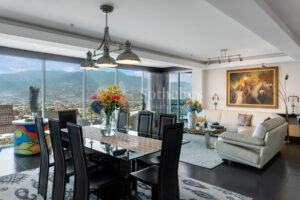 Metropolitan Oasis Penthouse