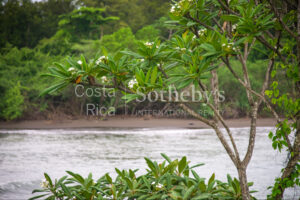 Punta Loros, Puntarenas