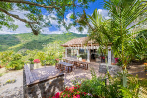 The Andalusian Estate | Equestrian Retreat in Santa Ana