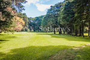 Finca para Desarrollo el Castillo