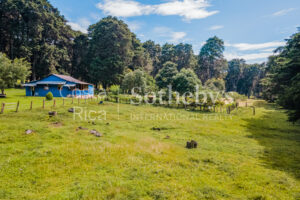 Finca para Desarrollo el Castillo