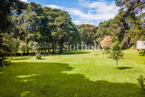Finca para Desarrollo el Castillo