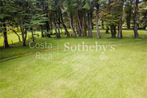 Finca para Desarrollo el Castillo