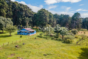 Finca para Desarrollo el Castillo
