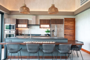 Brand New Ocean View House 147 In Playa Grande Gated Community