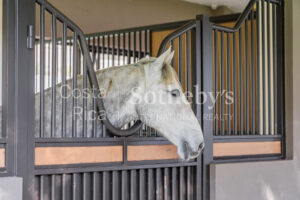El Encanto Equestrian Estate