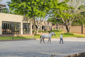 El Encanto Equestrian Estate