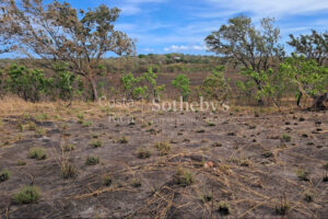 Finca la Prosperidad