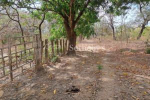 Finca la Prosperidad