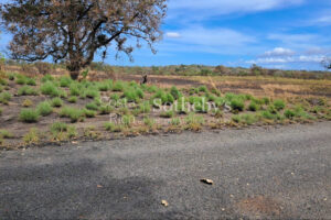 Finca la Prosperidad