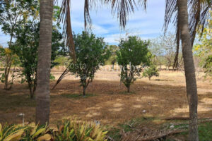 Finca la Prosperidad