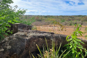 Finca la Prosperidad