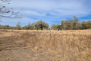 Finca la Prosperidad