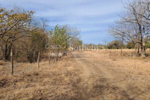 Finca la Prosperidad