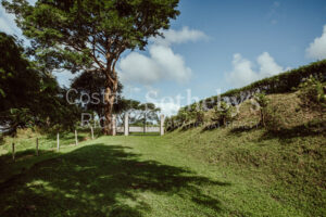 Finca Priority