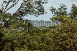 Finca Priority