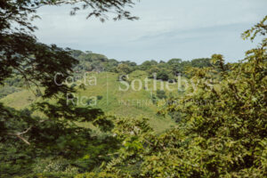 Finca Priority