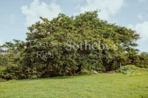 Finca Priority