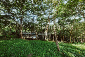 Finca Priority