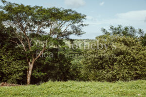Finca Priority