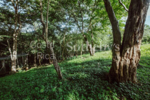 Finca Priority