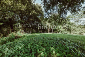 Finca Priority