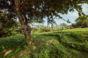 Finca Priority