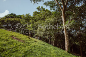 Finca Priority