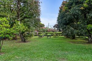 Quinta Verde Ciruelas, Espacio y Céntrica Ubicación