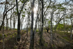 Expansive Ocean View Lot in the Hills of Hermosa