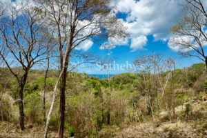 Expansive Ocean View Lot in the Hills of Hermosa