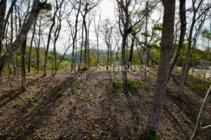 Expansive Ocean View Lot in the Hills of Hermosa