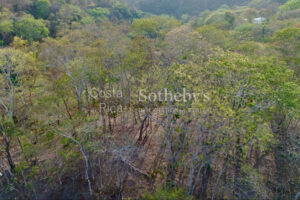 Expansive Ocean View Lot in the Hills of Hermosa