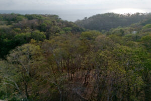 Expansive Ocean View Lot in the Hills of Hermosa