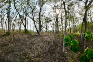 Expansive Ocean View Lot in the Hills of Hermosa