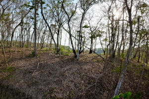 Expansive Ocean View Lot in the Hills of Hermosa