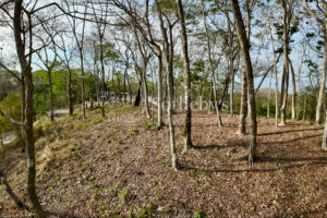 Expansive Ocean View Lot in the Hills of Hermosa