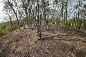 Expansive Ocean View Lot in the Hills of Hermosa