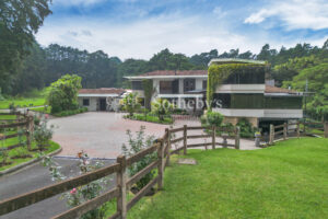 Lobo Mountain Estate