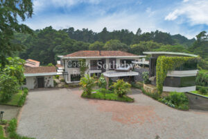 Lobo Mountain Estate