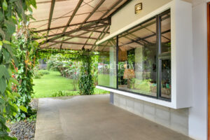 Lobo Mountain Estate