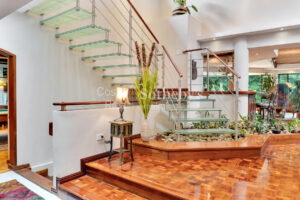 Lobo Mountain Estate