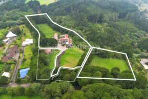 Lobo Mountain Estate