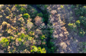 Curubande River Forest Treasure