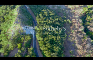 Curubande River Forest Treasure