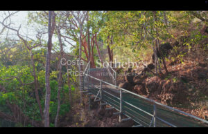 Curubande River Forest Treasure