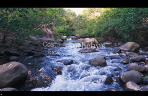 Curubande River Forest Treasure