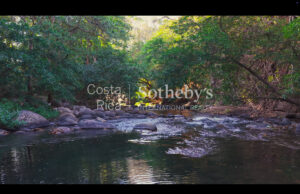 Curubande River Forest Treasure