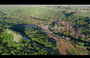 Curubande River Forest Treasure