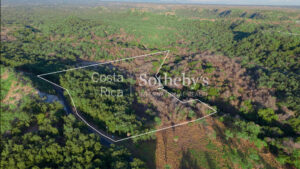 Curubande River Forest Treasure